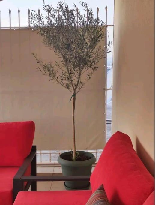 7Th Floor Spacious Veranda In The Heart Of Athens Exterior photo